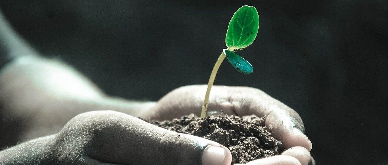 10岁前有这6个迹象，说明你把孩子教得很好