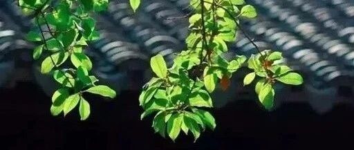 学习不是混日子的地方！孩子不想读书，带他去这5个地方走一走！