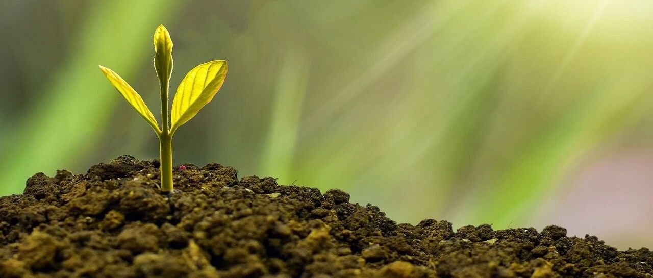 这7件事，父母越舍得，孩子越优秀！