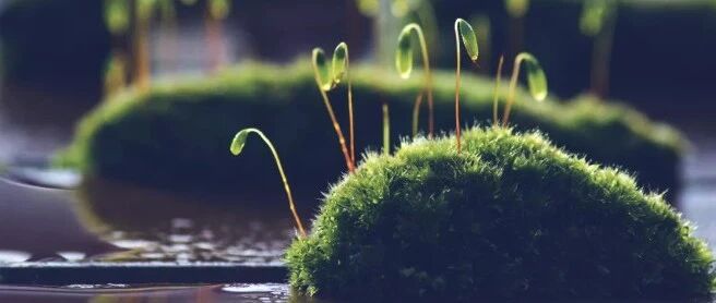 先抓习惯，再谈成绩，请老师转给家长和孩子！