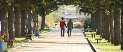 中国教育最可悲的是：家长舍不得管，老师不敢管，外人不方便管