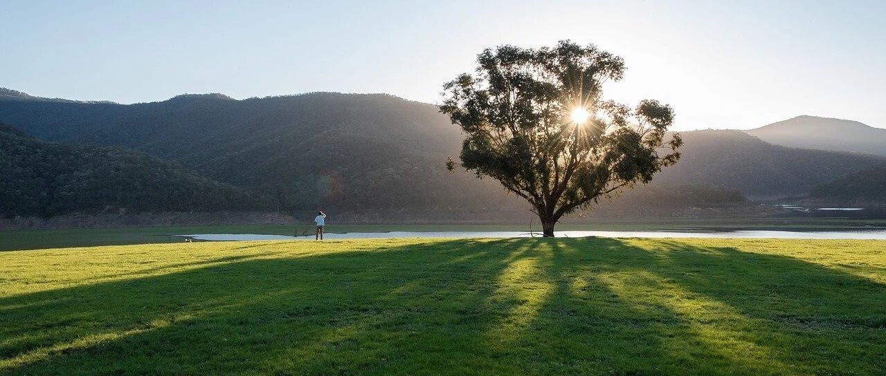 “低声教育”，是给孩子最好的礼物！（强烈推荐）