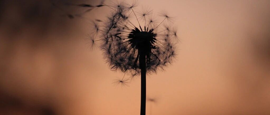 孩子出不出色，与母亲的性格关系重大！（值得一读再读的好文）