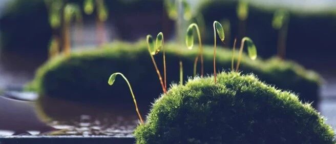 一个妈妈的反思：如果重新养育孩子，我再也不会……