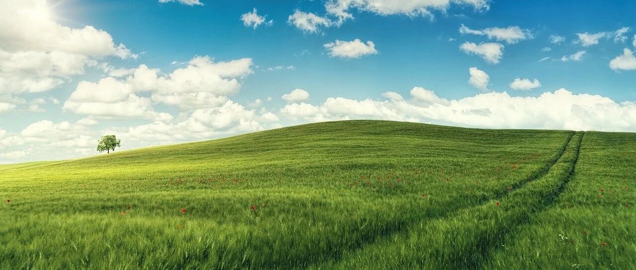 废掉一个孩子最快的方式，就让他用喜欢的方式过暑假