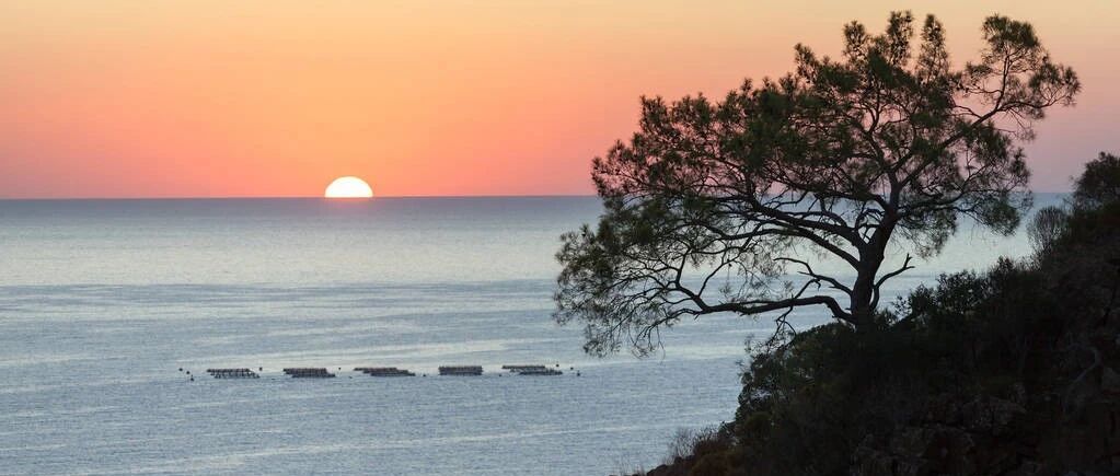 一张价值不菲的家庭教育表，看清家庭的差距！