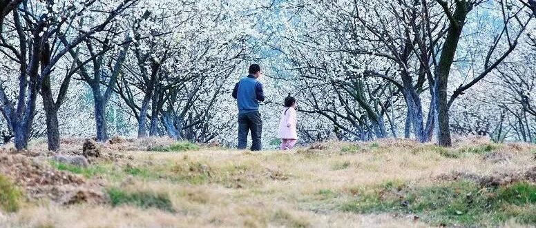 寒假第一周，告诉孩子：自律者出众，懒散者出局！（家长读给孩子听）