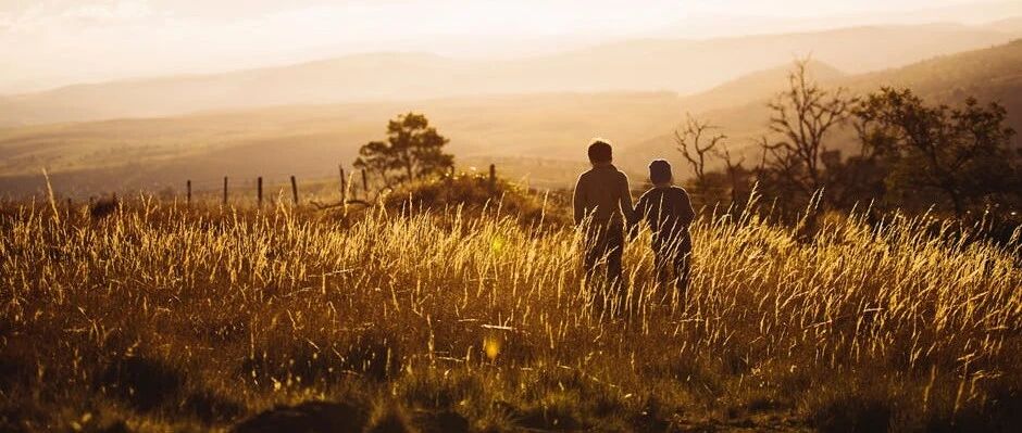 一封家书打动千万父母，7000万人看完都收藏了！（写得真好）