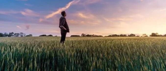 在中国, 能考上一本究竟意味着什么? 好的学历，能争取太多……