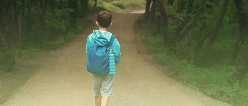 任何事业的成功，都弥补不了你教育孩子的失败（此文无价）