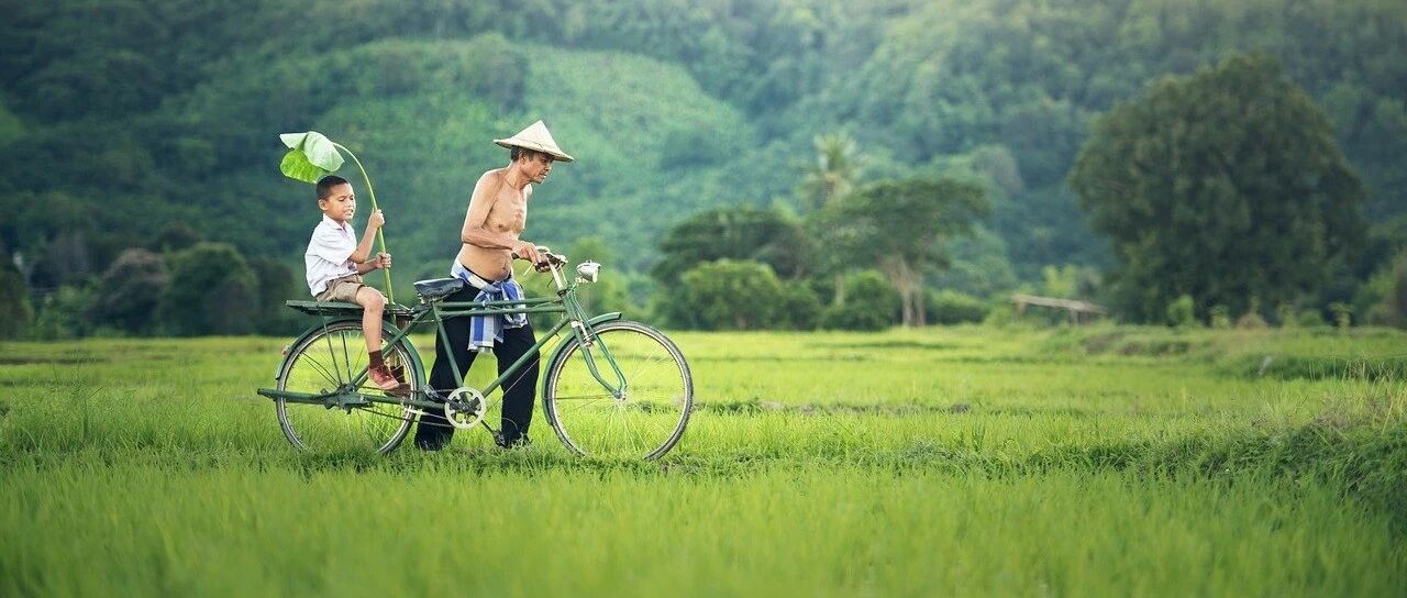 父亲，是你决定了孩子20年后的命运！再忙也要读一读