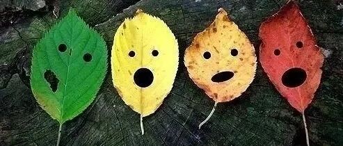 9月10日起，批评、跑步、写检讨是合法的？新学期请善待每位严格的老师！