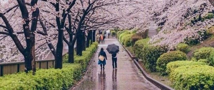 “妈妈，你能不能别管我学习！”这位妈妈的回答够狠