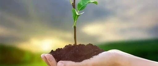 长大后没出息的孩子，从小就有这4个征兆，现在不改，将来要吃大亏（爸妈要警惕）