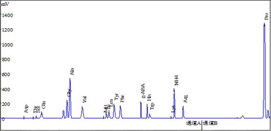 青岛啤酒——啤酒中的营养你知道多少？