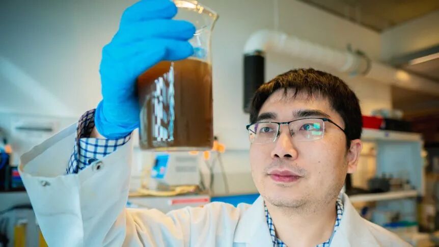 中国科学家荣获澳洲科学大奖！不过他研究的东西却是... - 2