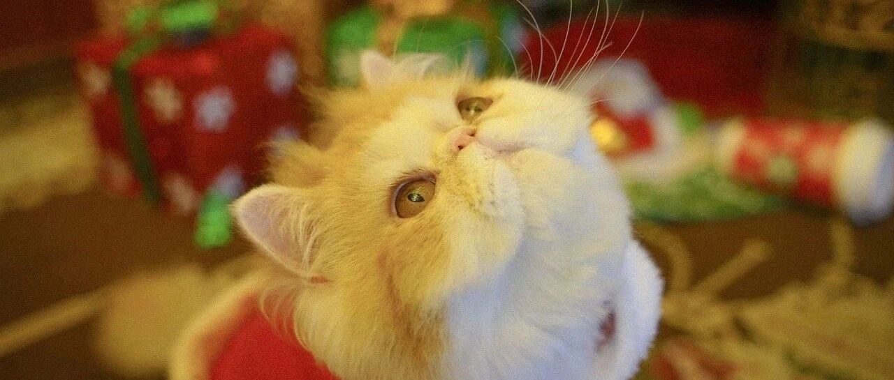 多囊卵巢综合症对日常生活的六大影响？