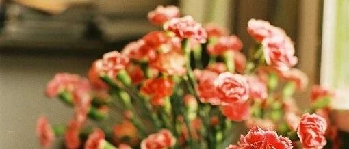 多囊治疗要基于分型制定对策！你是哪一类型？