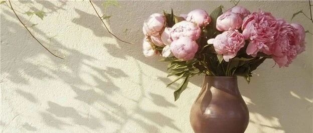 瘦多囊，要不要坚持低升糖饮食？