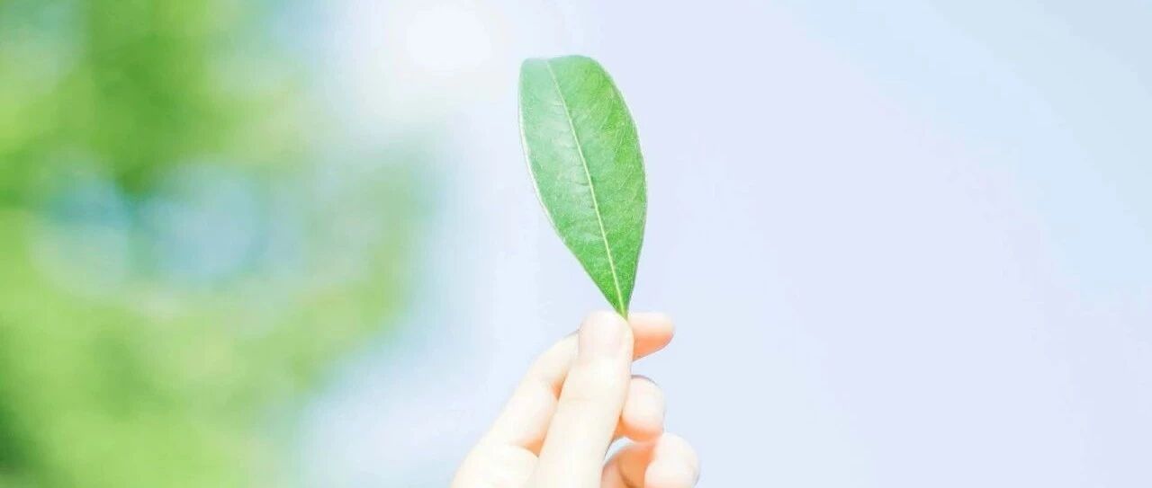 多囊卵巢综合症三座大山：高雄、肥胖、胰岛素抵抗，怎么解决？