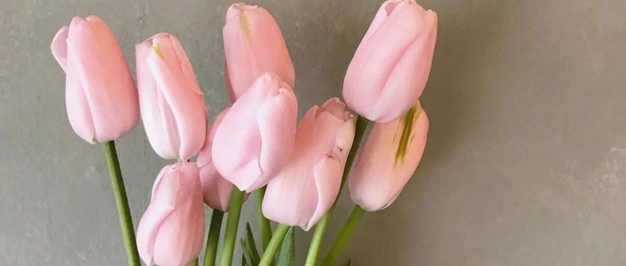 盘点5种对PCOS多囊有益的膳食补充剂~