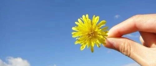 【多囊好孕篇】从促排到怀孕，多囊患者一定要谨记这些~