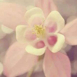 多囊雌激素水平低？让这两大调理方式拯救你！