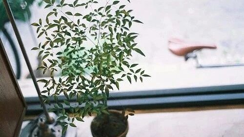 多囊卵巢综合症，能治愈吗？