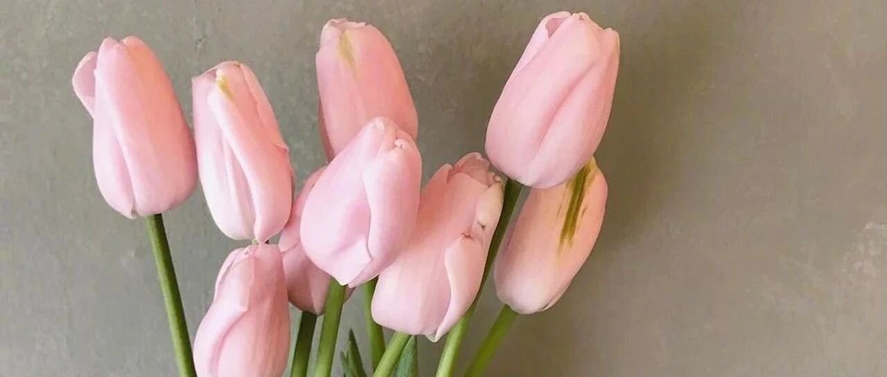 褪黑素VS多囊卵巢 ，它能够增加“孕气”么？