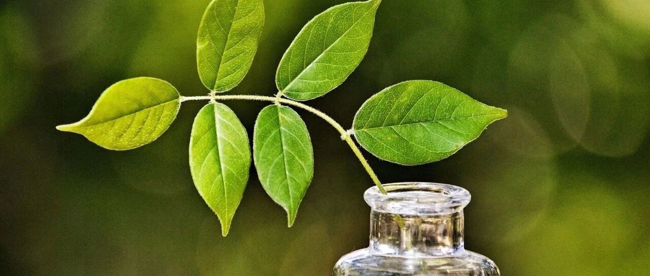 中医艾灸可以治疗多囊卵巢综合症吗？