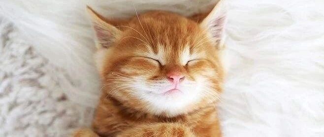 要想管控多囊，睡眠的重要性不容忽视！