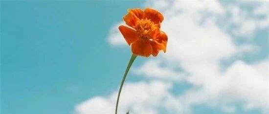 多囊卵巢综合症怎么才能增加自然怀孕几率！