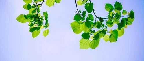 治疗多囊卵巢综合症，大豆能帮忙？