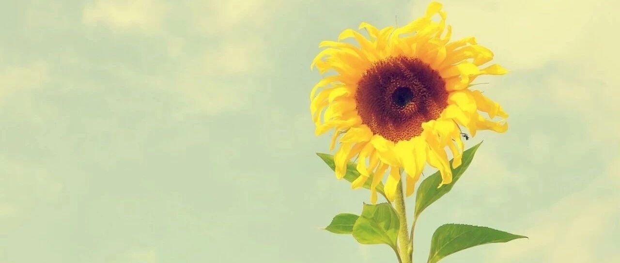 多囊注意！你追求的“高品质生活”也许并不适合你！