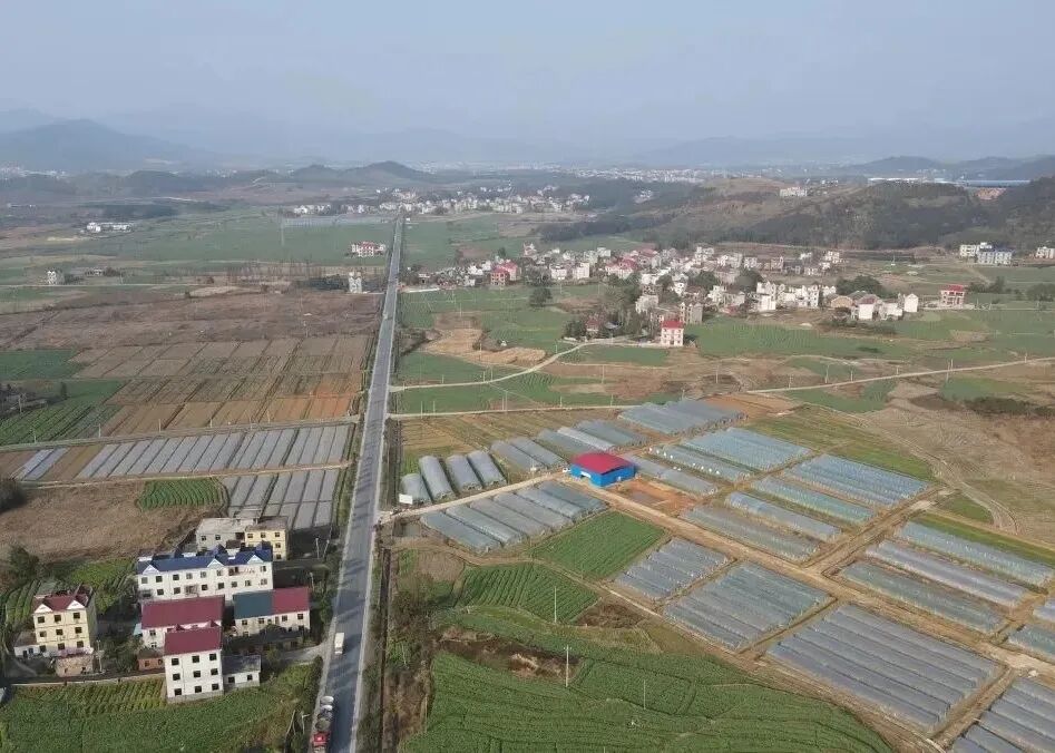 组织振兴丨莲花县良坊镇新田村党群共建聚合力勠力同心谋发展