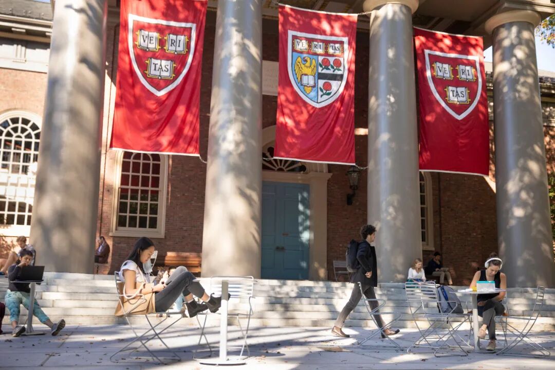 常春藤日到来：2025录取趋势揭秘