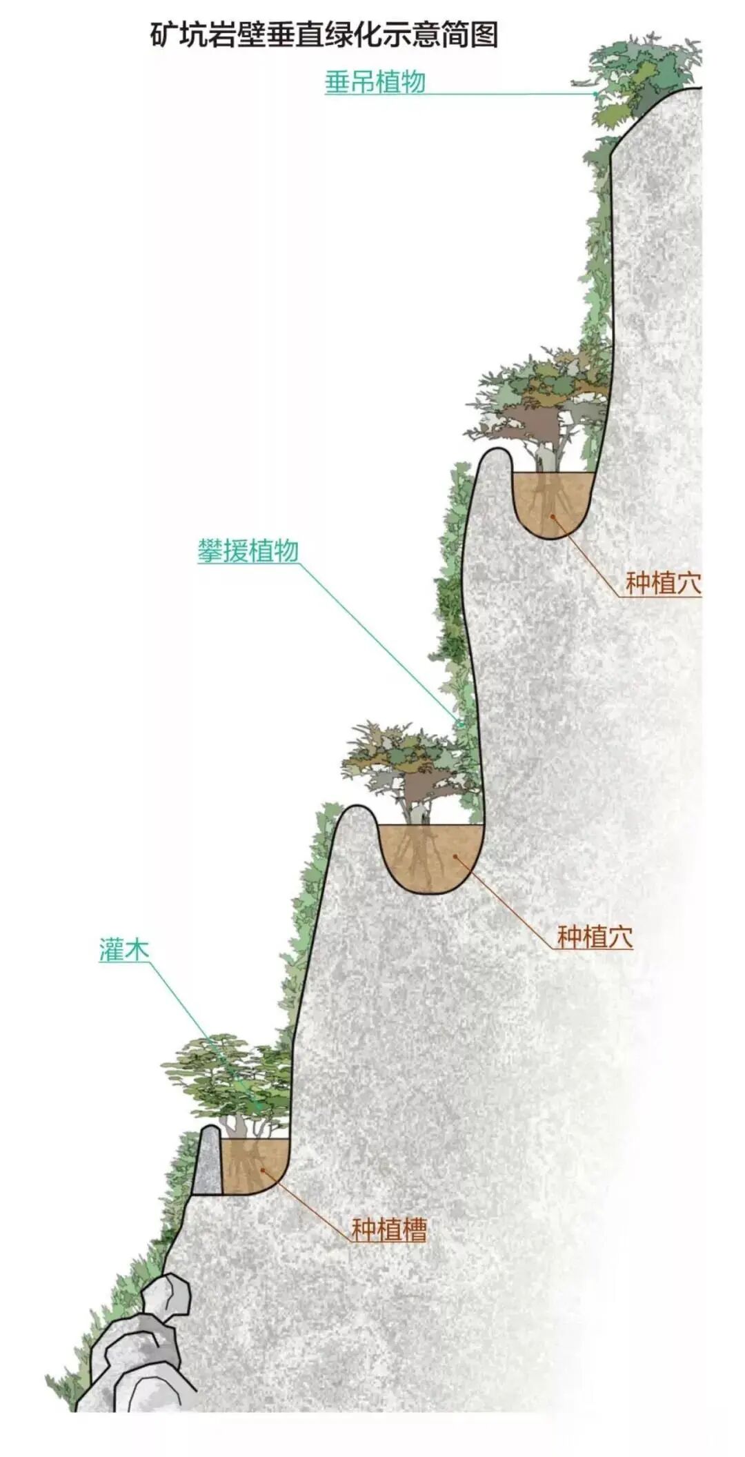 废弃矿坑生态修复的优秀案例的图5