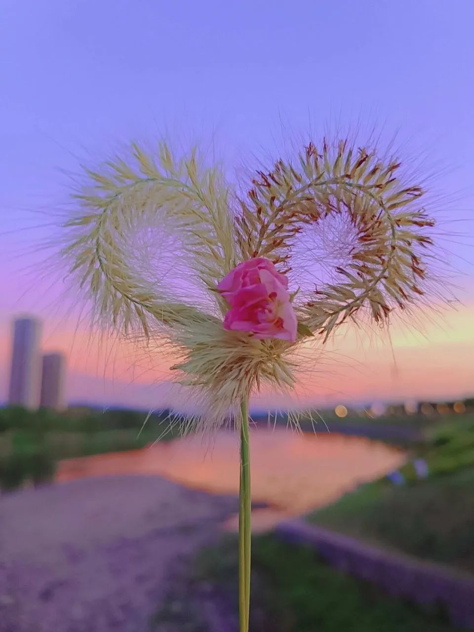 心情轻松句子简短