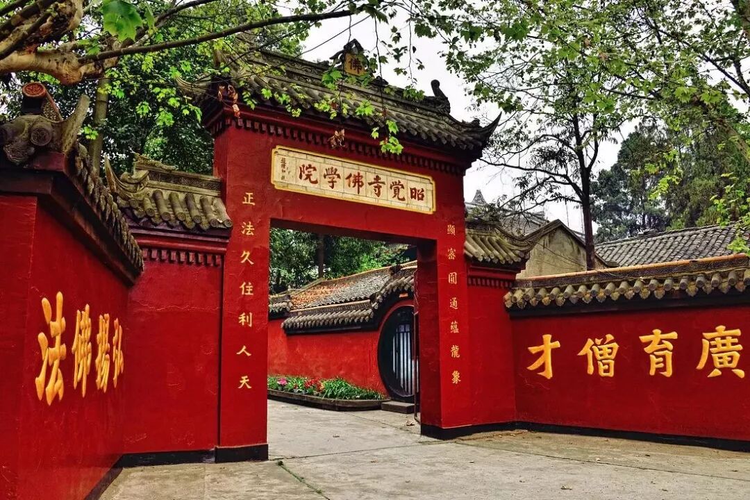 等一个人,陪我去成都