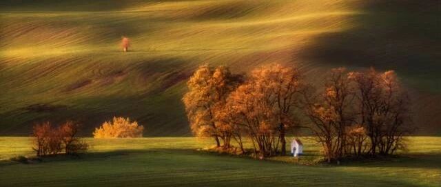 怎么拍出秋天的意境美，不要套路，要趣味！