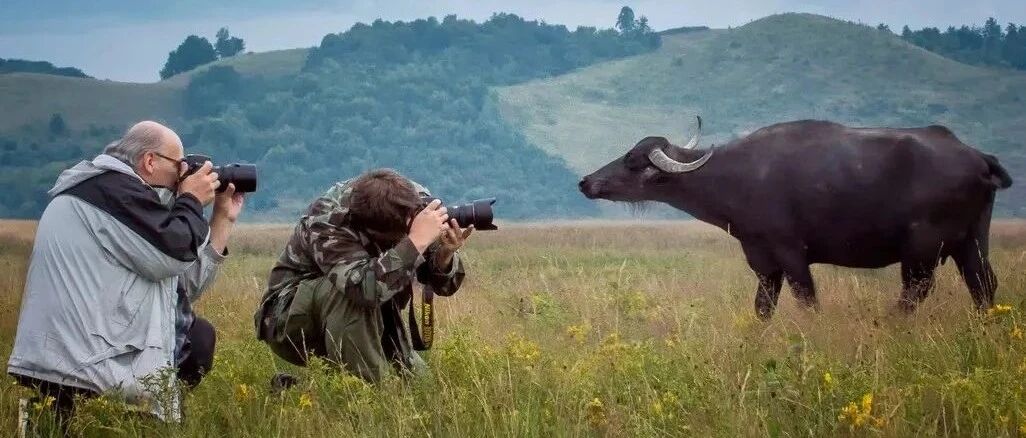 “刺激”照片！想不通怎么拍到的？真是大开眼界！