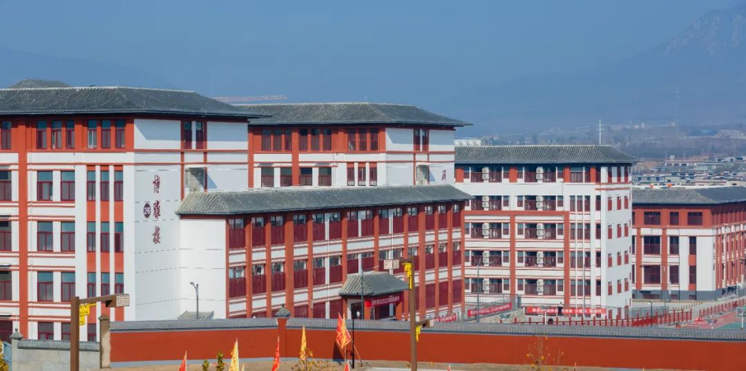 体育单考单招什么意思_社会考生考体育单招需要_艺考生考文化课考什么