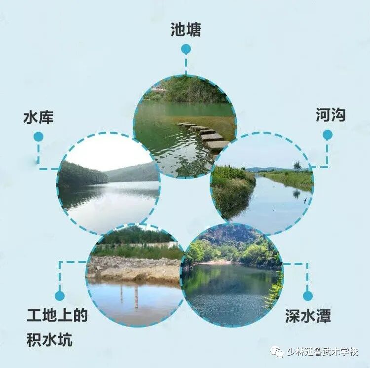 安全教育丨防溺水安全知识家长学生要牢记