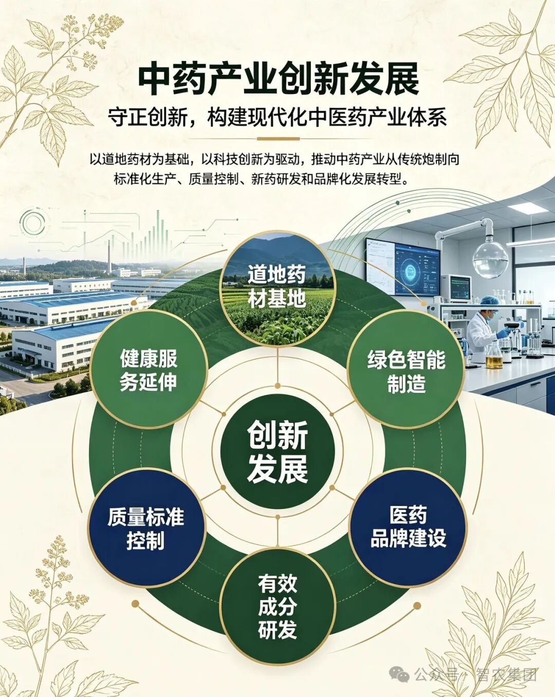 中药产业创新发展