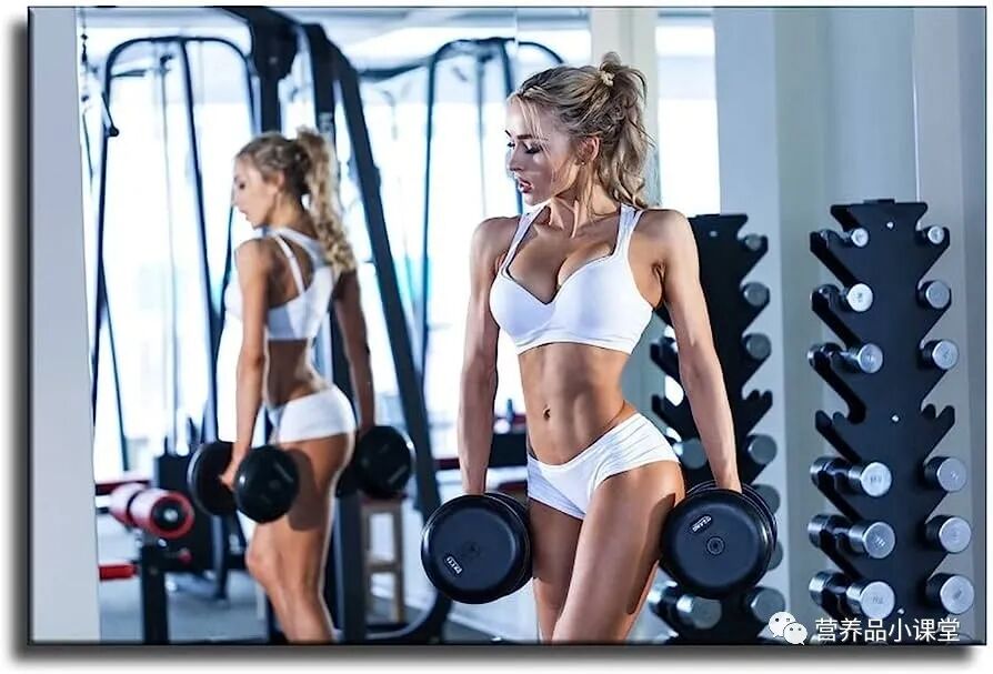 怎么调器械座椅健身房里的那些神器，你都会用吗？教你如何正确使用各种健身器械._https://www.jmylbn.com_新闻资讯_第15张