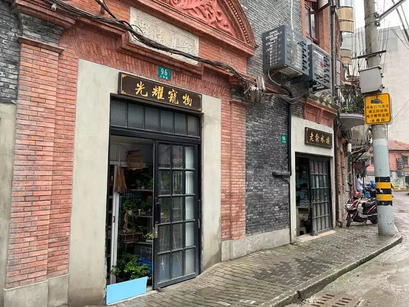 花鸟市场宠物店_去花鸟市场买宠物_买宠物去花鸟市场还是宠物店