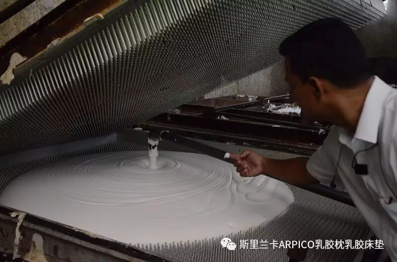 乳胶枕乳胶床垫是如何生产的详解邓禄普生产工艺