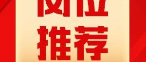 中铝财务有限责任公司社招岗位推荐
