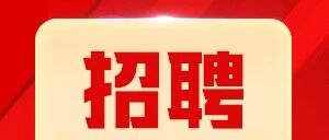 2026年8月厦门集美人力资源发展有限公司集美分公司招聘工作人员简章