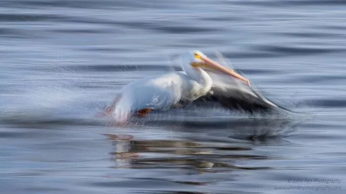 摄影需要诗与远方，但这绝不是苟且眼前的托词